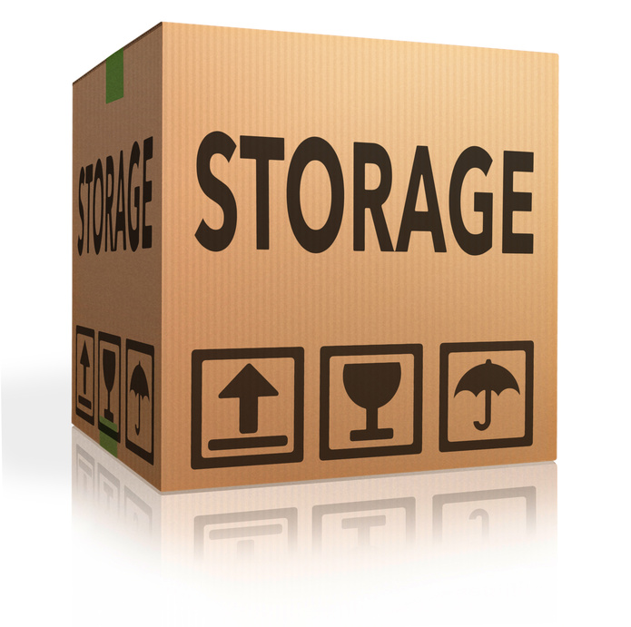 storage box storing spaces in garage lockers units or container with room and space for renting